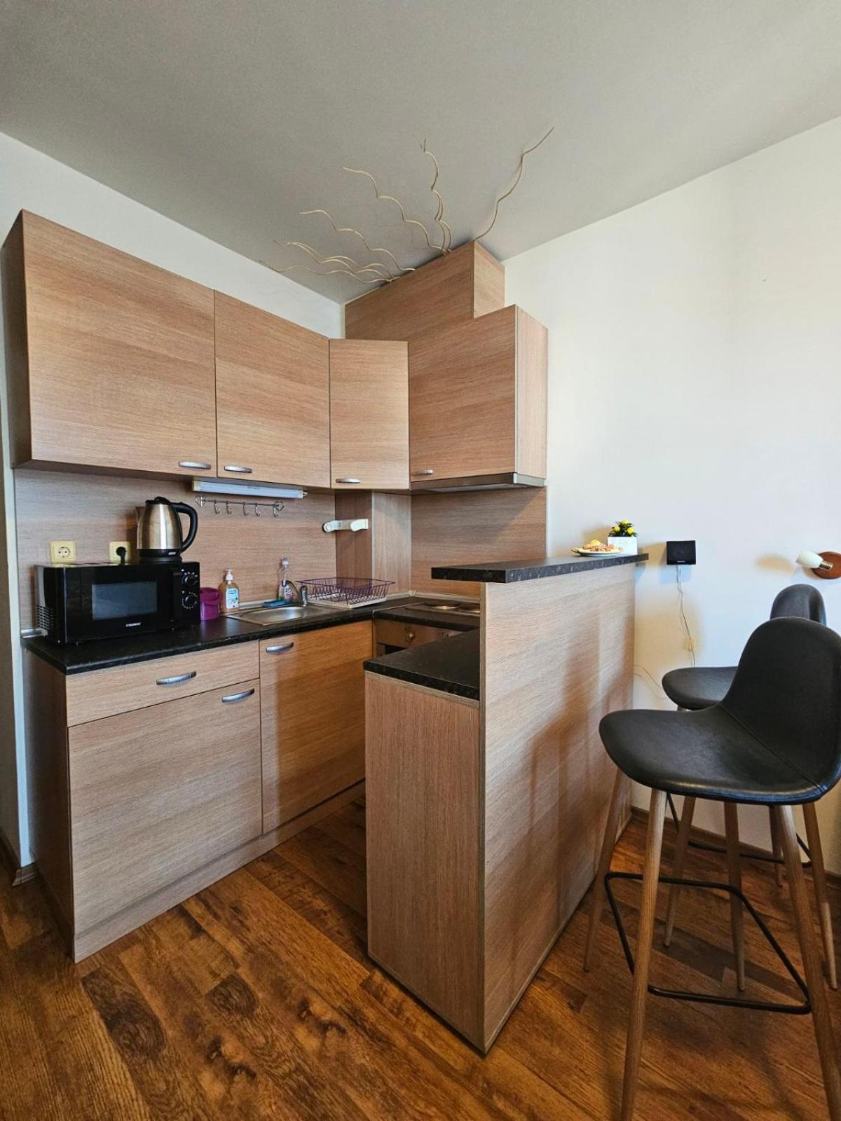 Apartament Апатаменти За Гости Sunshine И Glory Święty Włas Zewnętrze zdjęcie